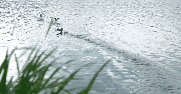 往返接驳+15分钟绿道直达赛点，给你的上合昆马开局加点“顺”~
