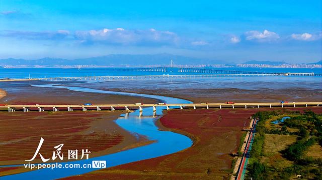 山东青岛：红海滩绚丽多彩