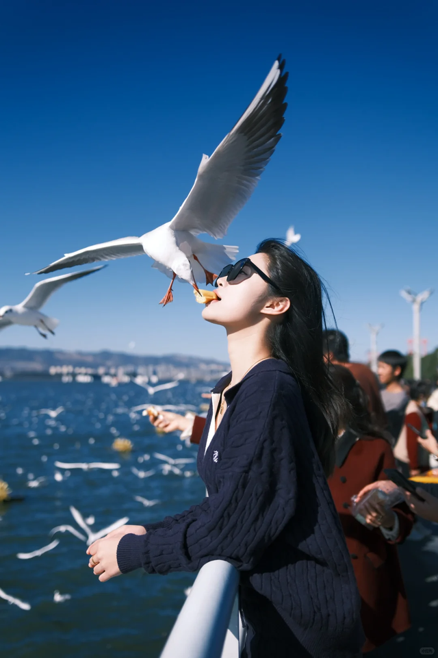 昆明冬旅：一张在春天里「逾期停留」的避冬签证