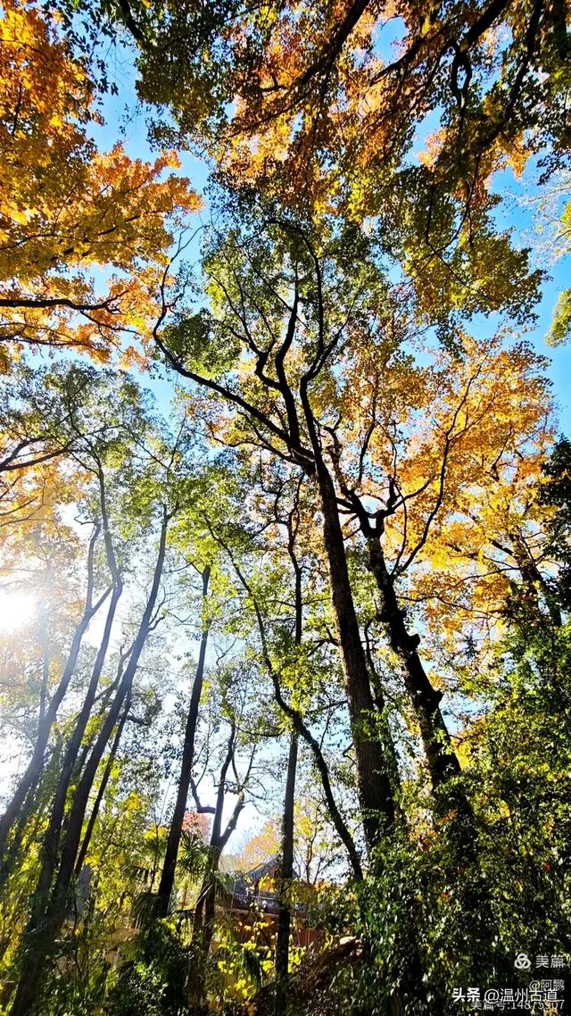 秋染浙西，邂逅烂柯仙境的绝美风光！
