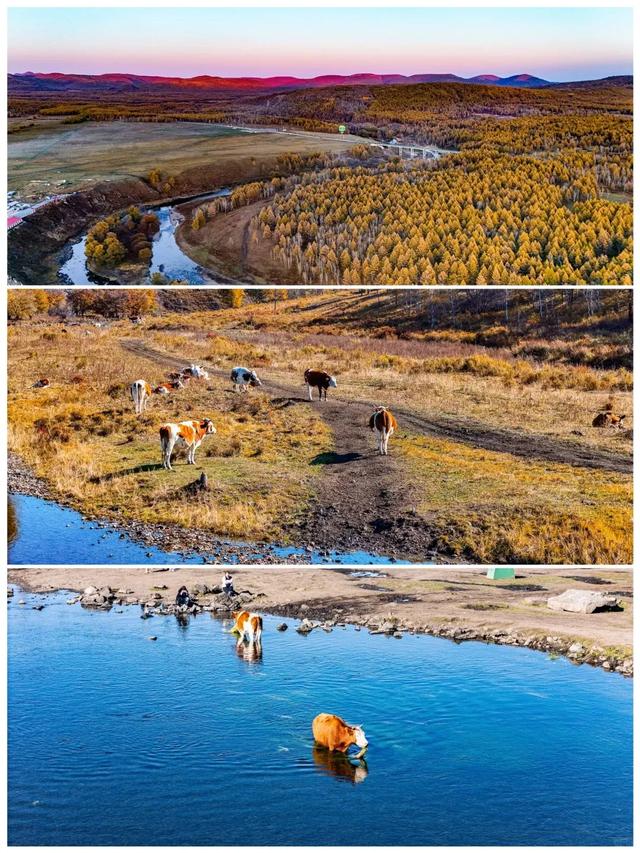 2025国庆中秋假期阿尔山旅游迎转型！