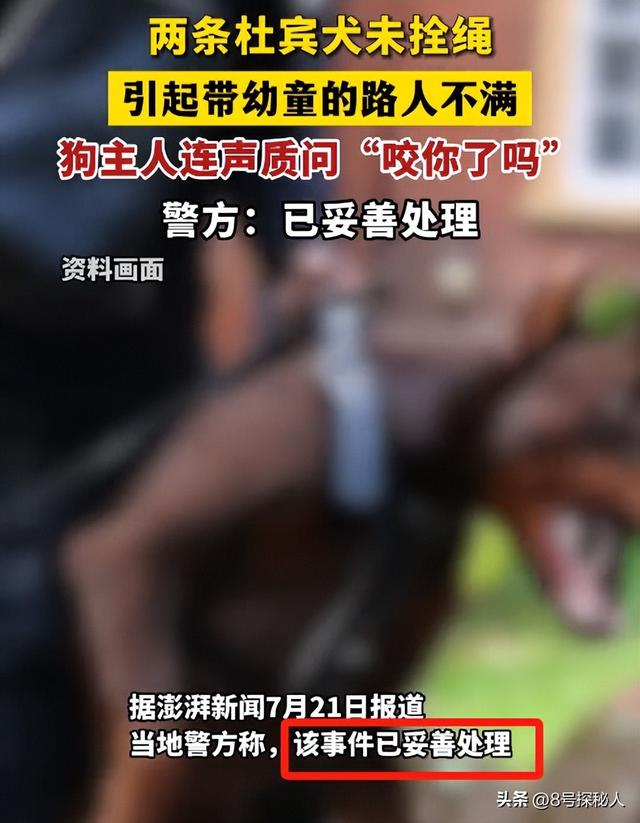 江苏杜宾犬飞扑幼童：事情已了结，当地人透露更多，女子身份可疑
