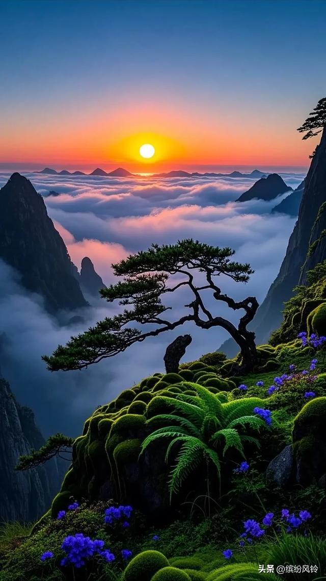 站在时光的山巅，看云海漫卷