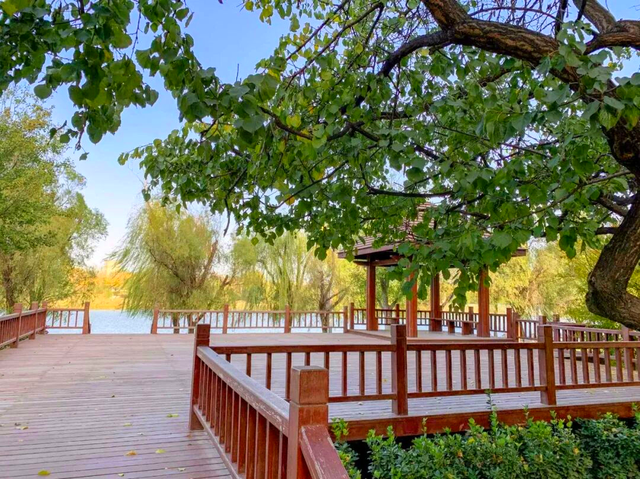 天凉好个秋，露营正当时