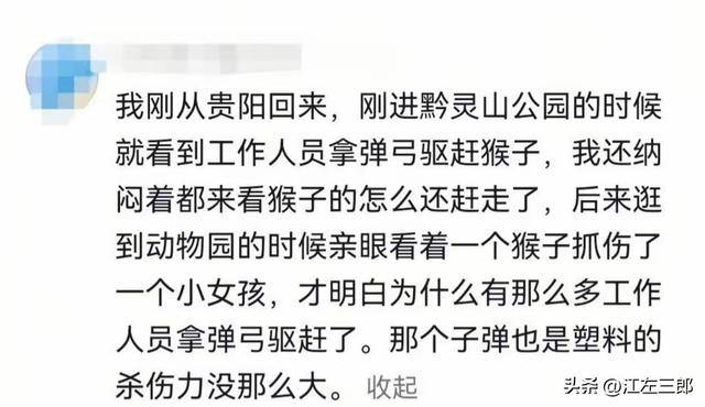 江苏男子扬言打老人后续：南京文旅做出回应，身份被扒全网社死
