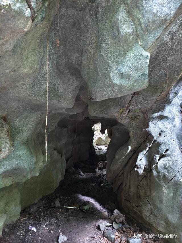 马来西亚(30)砂拉越州④姆鲁山徒步线路