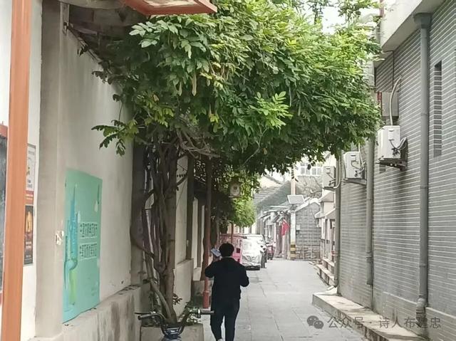 寻访济南老街巷——西城根街