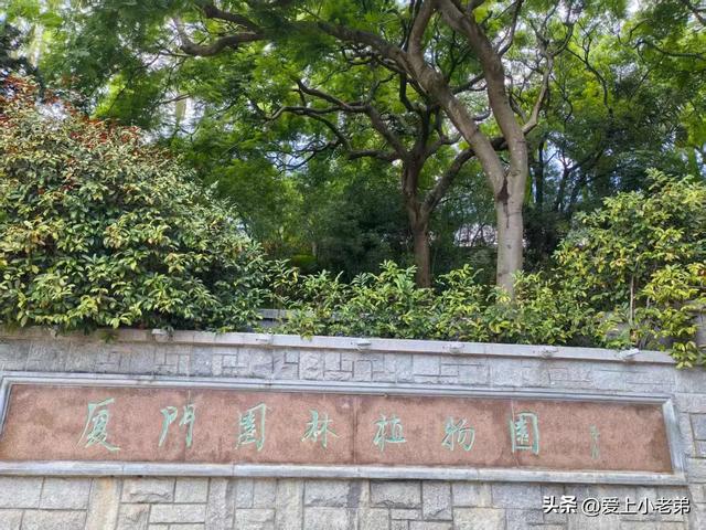 厦门旅行记:想去的小伙伴可以提前看看,前人种树后人乘凉嘛