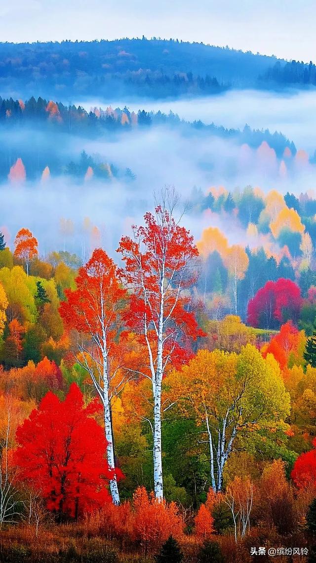 红黄绿交织流淌，在乳白雾气中洇开