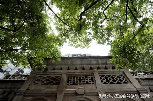 重庆鹅岭隐藏玩法曝光：从早到晚的山城魔幻之旅