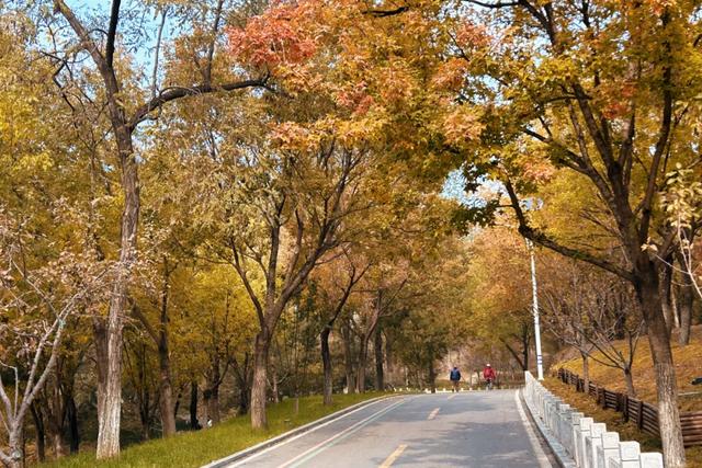 发现丰台之美 | 诗意北宫,醉美金秋