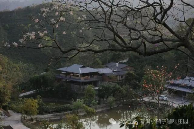 思茅打卡全攻略！这些宝藏点位 茶咖食宿玩一站式承包 | 有一种叫云南的生活