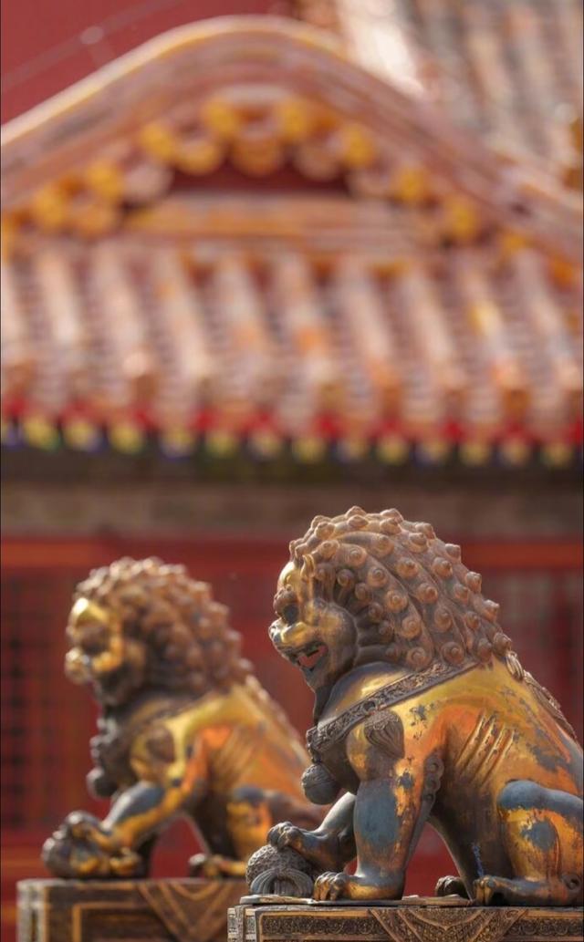 我是成都人，刚逛完故宫景点，忍不住想说：对故宫的几点直观印象