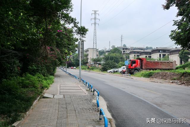 重庆主城藏了条“摆烂”步道：公交直达，轻松原始，就是有点费嘴