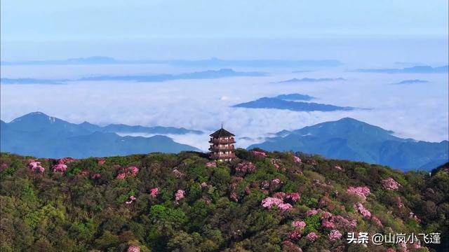 渝厦高铁(重庆-长沙)全面细致“线路、站点、景点”介绍