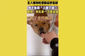 男人引诱狗子大口炫香肠，最后的骚操作让狗子直接怀疑狗生！！图片