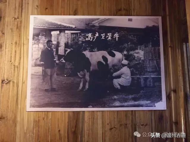 老温州妇孺皆知的温州重要名人！他的故居国庆假期开门迎客啦