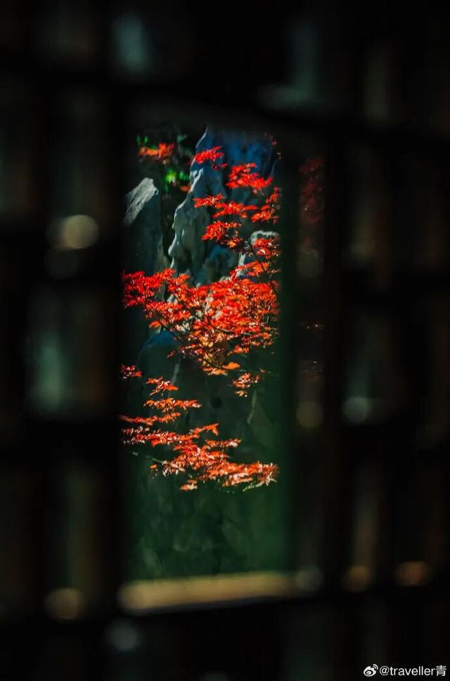 江北这里，红透了！