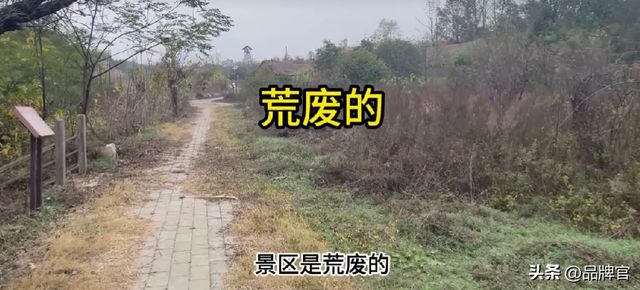 又一灰产链曝光！40元游桂林，背后是精心包装的“银发陷阱”！