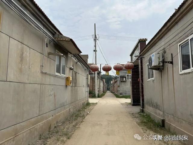 冠县乡韵·甘官屯镇太平庄
