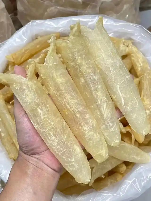 长长一条花胶 2025年一条花胶大约有多少克 长长一条花胶 2025年一条花胶大约有多少克