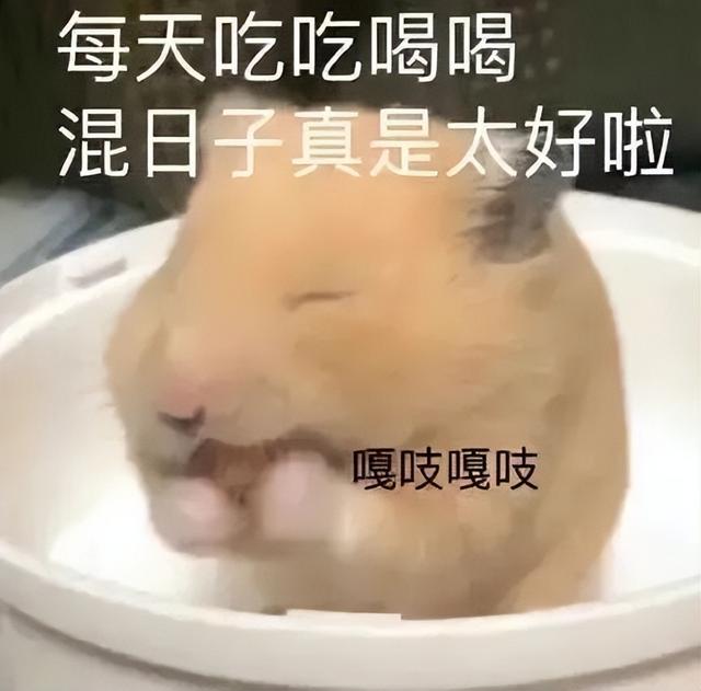 特斯拉廉价版贵到离谱