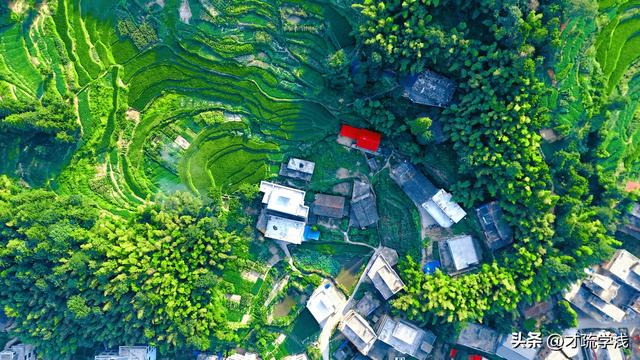 唐冲湾•老屋