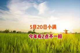 5月20日小满，今年小满不一般，有2点比较特殊，看农谚咋说？图片