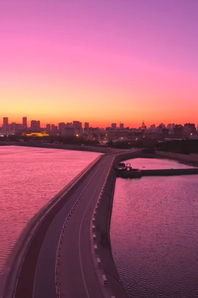 反复爱上日照的理由，藏在碧海路的橘子海里！