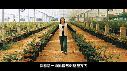 辉煌60年·遇见高原的城｜次仁卓嘎带你游扎囊