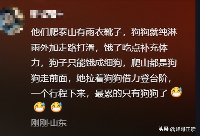 爬泰山的作死夫妻被制裁！导盲犬被收回，身份被扒，家里还有一只