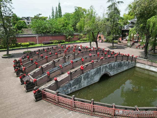 成都古镇（15）郫县唐昌古镇崇宁公园·大椿巷
