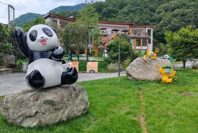 武都各景区优惠福利重磅上线，速囤！