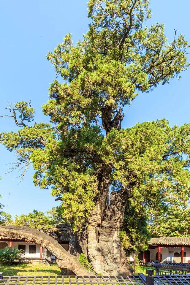 嵩山:无敌是多么寂寞