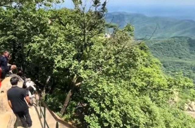 “妻子眼看着丈夫从栏杆上掉下悬崖”，51岁男子在辽宁一景区坠落身亡