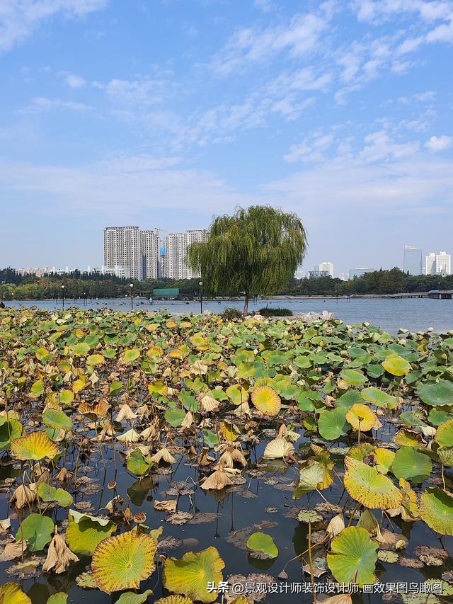 河北省邯郸市龙湖公园