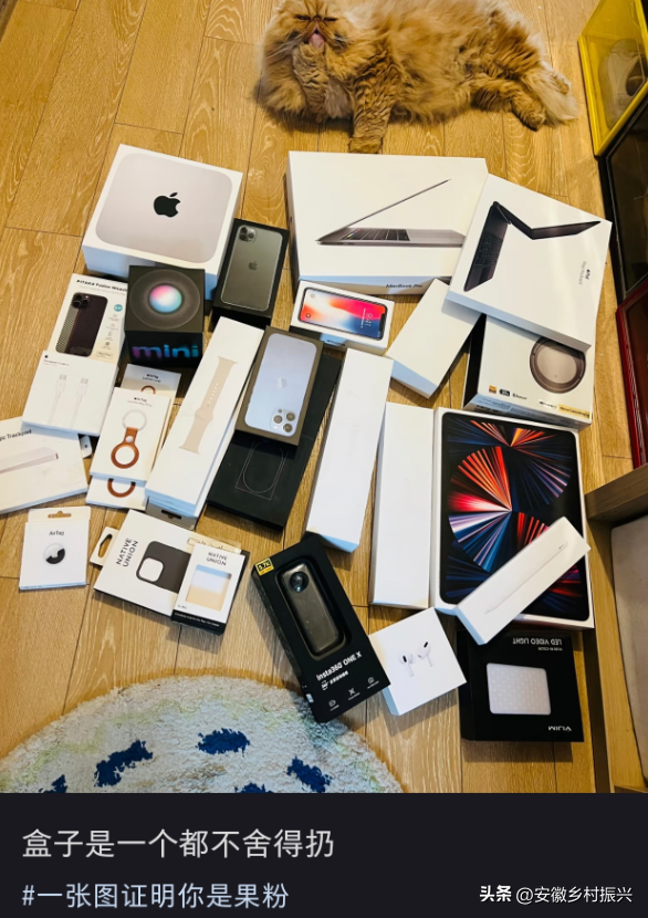 入驻小红书，苹果这次赌对了