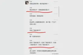 “我不能生育了！”贵州柯基被打死后续：狗主人崩溃哭喊自曝隐私图片