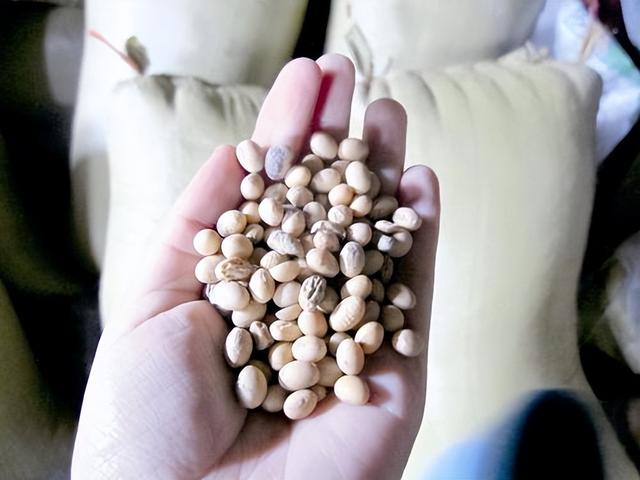 特朗普的要求，中方都没听，美错过中国大单，损失数十亿美元