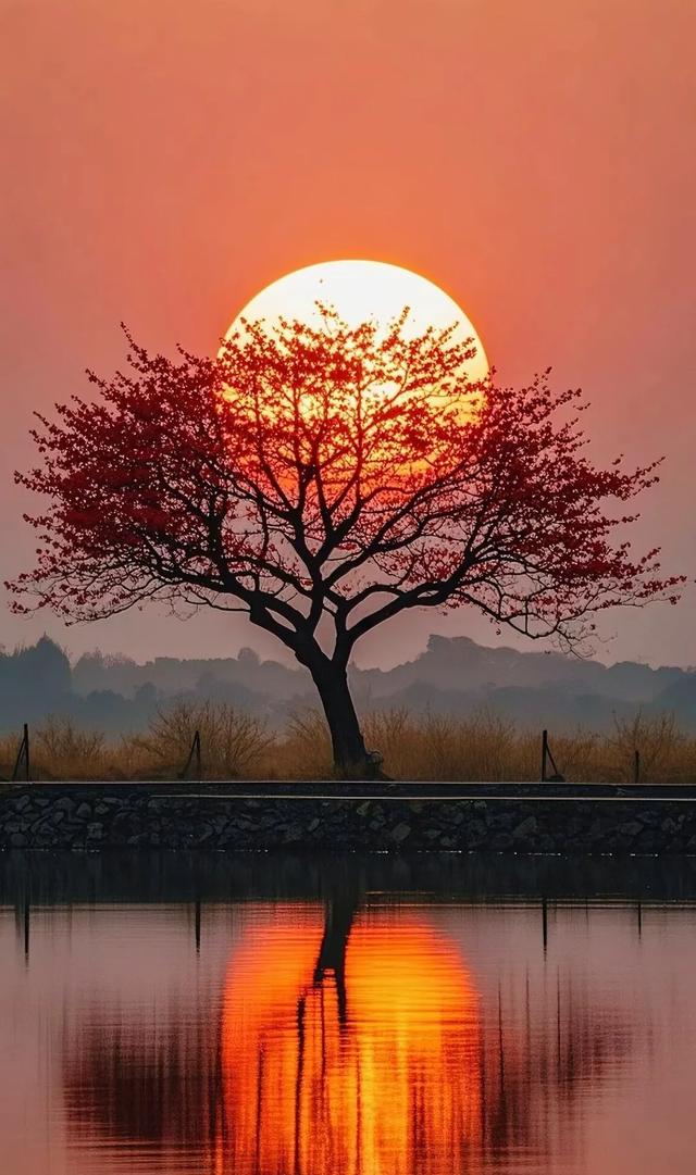#美景 #日落 #黄昏