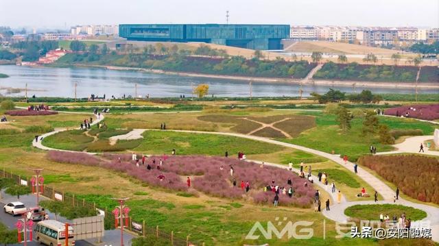 随手一拍都是大片!安阳深秋限定美景已上线→