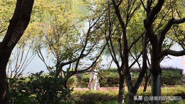 30分钟登顶！长沙私藏小众徒步路线，一站解锁遛娃顶“尖”玩法