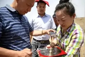 80后女“风水师”王蓉，硕士毕业月入2万，坚称：风水不是骗人的图片