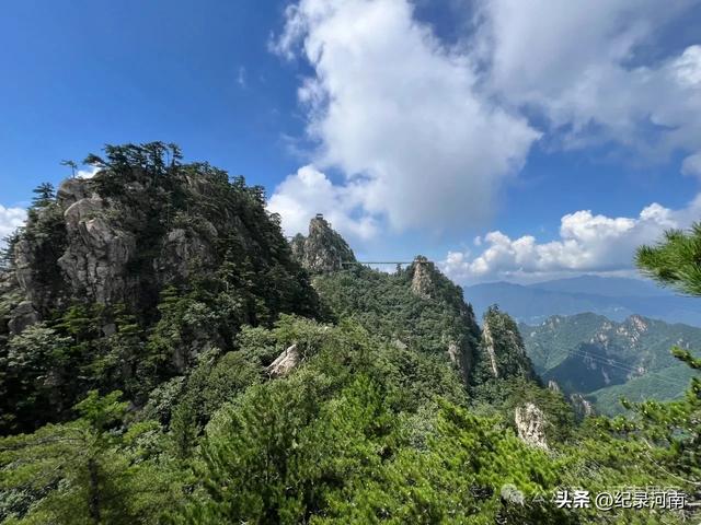 人间仙境南阳市西峡县老界岭避暑散记:寻一方清凉,品山野之味