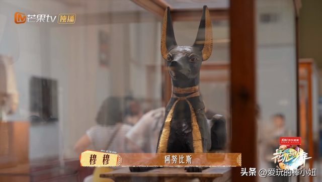 不愧是非洲最大，这里的好东西直接把花少团成员眼睛闪瞎