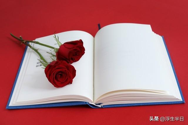 精短爱情语录，燃爆朋友圈