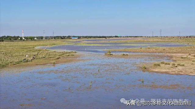 鄂托克前旗：闯进现实版绿野仙踪 邂逅巴彦希泊日草原