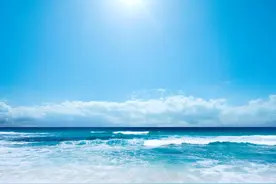 除了鱼，大海里还有哪些生物，最后一种你肯定想不到图片