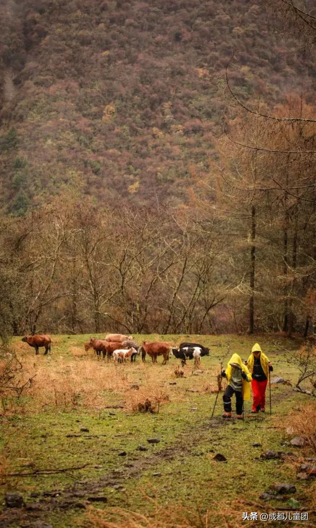成都周边8条赏秋彩林线，人少景美，12年资深徒步玩家推荐