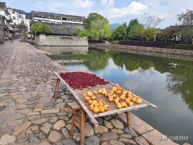 永嘉楠溪江一日，一出站就傻眼根本无车可坐
